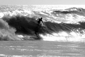 02-01-14 Roundup - Beach Freedom
